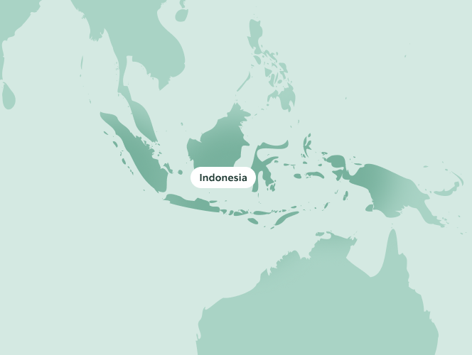 Map highlighting Indonesia on a light green world map