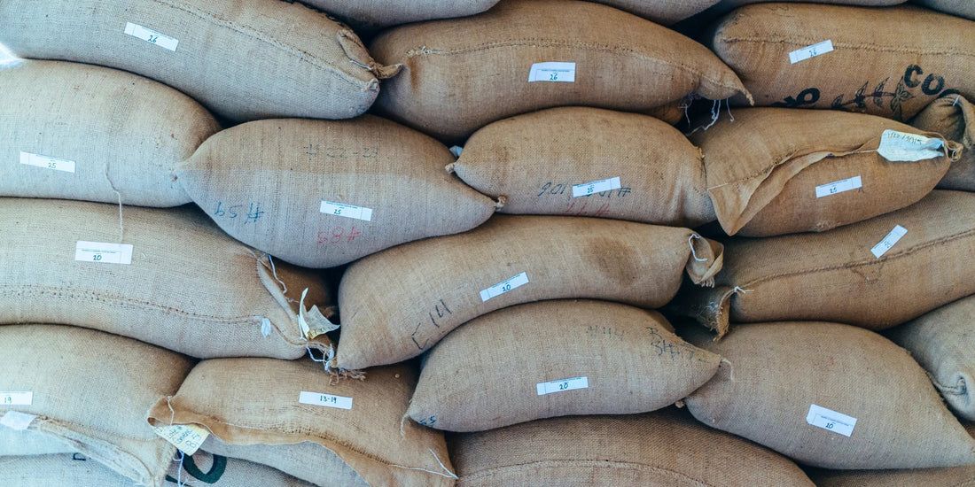 A close-up view of stacked natural burlap coffee sacks filled with goods, each marked with a small white paper label and handwritten numbers.