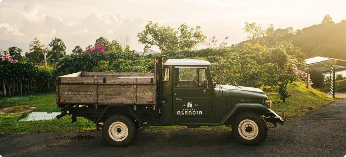 Vintage green truck with Hacienda Alsacia logo parked at Starbucks coffee farm in Costa Rica, surrounded by coffee plants and lush greenery.