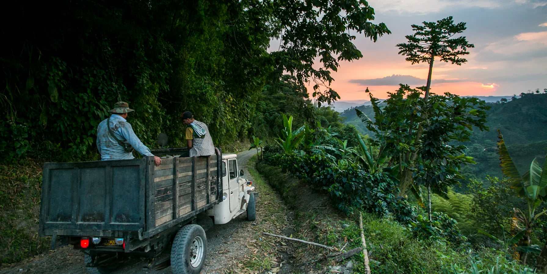 Two people in a truck on a dirt road surrounded by lush greenery with a sunset in the background.