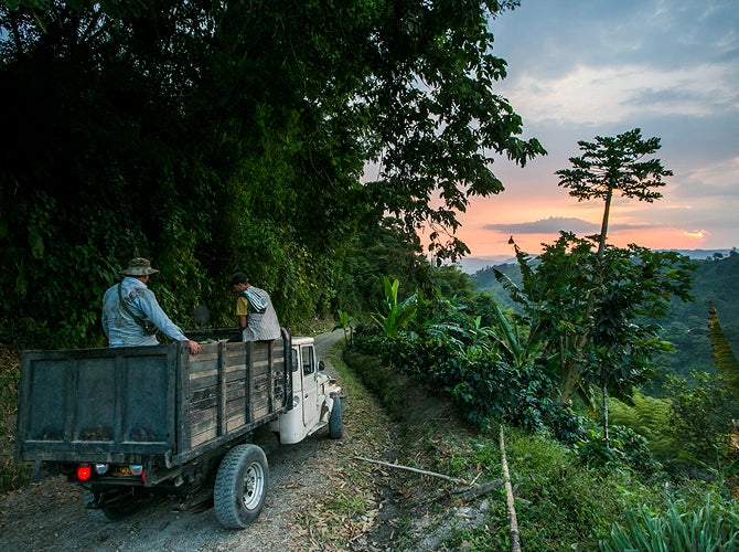 Two people in a truck on a dirt road surrounded by lush greenery with a sunset in the background.