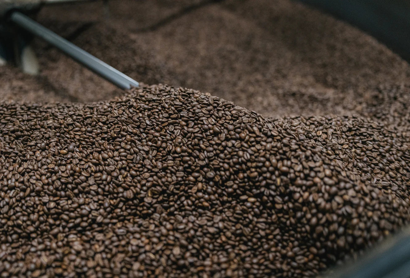 Close-up of roasted coffee beans with a metal scoop partially submerged.