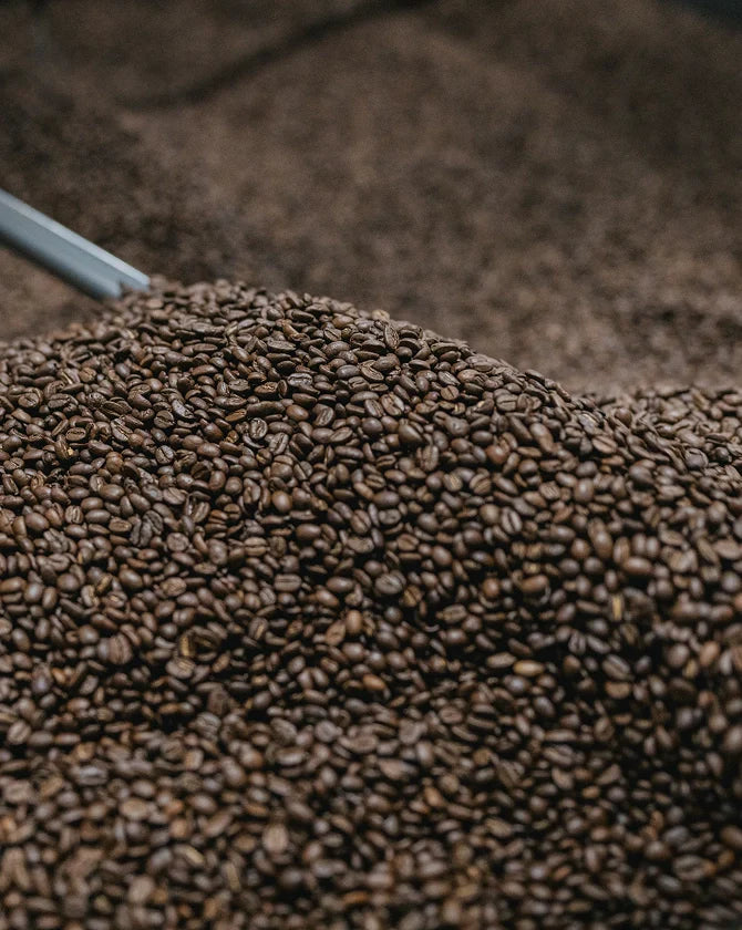 Close-up of roasted coffee beans with a metal scoop partially submerged.