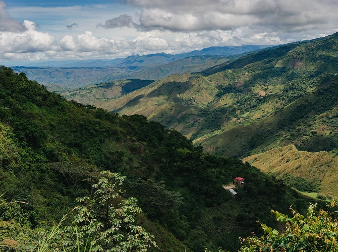 Scenic view of lush green mountains under a partly cloudy sky.