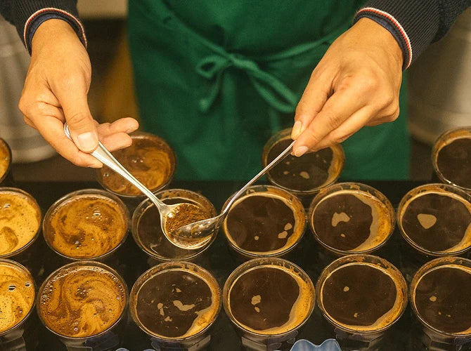 A team member scoping up to check the quality of coffee within each cup.