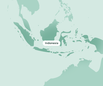 Map highlighting Indonesia on a light green background
