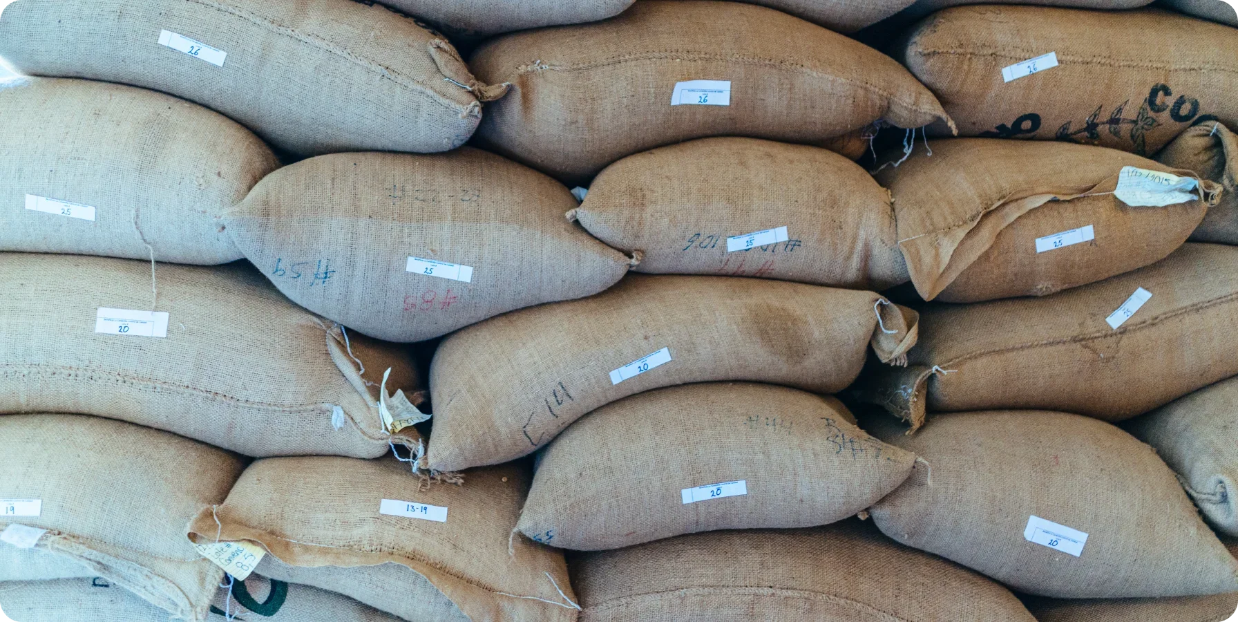 A close-up view of stacked natural jute sacks with small white labels, stacked tightly together.