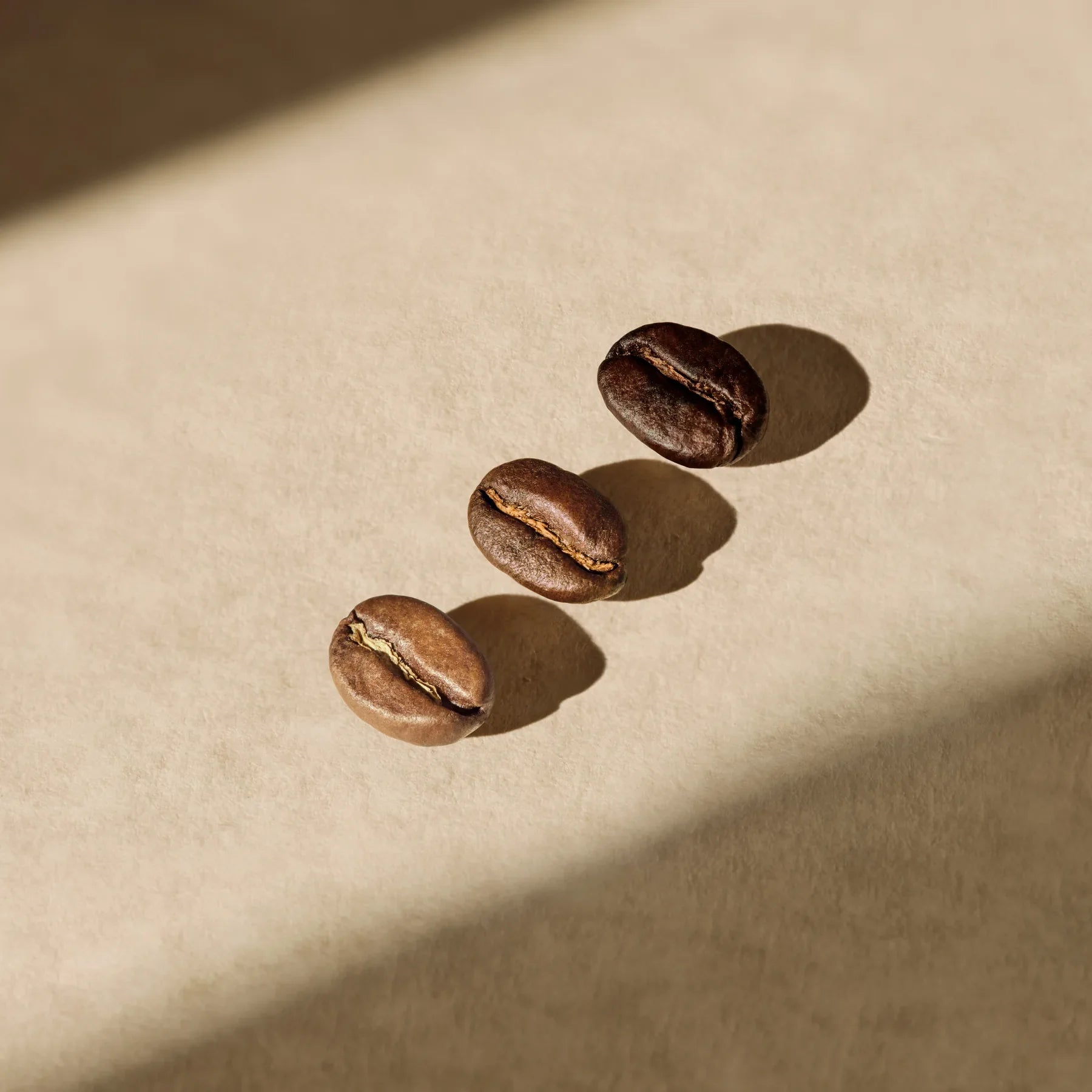 Three roasted coffee beans arranged diagonally on a textured beige surface with dramatic, warm sunlight and soft shadows.