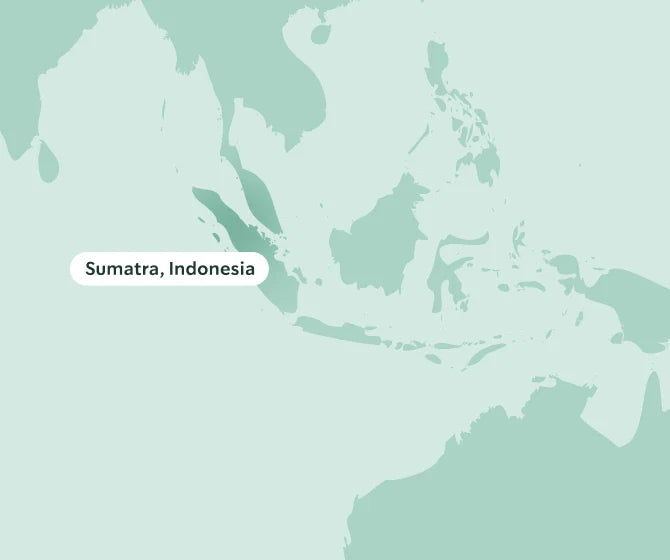 Map highlighting Sumatra, Indonesia on a light green background.