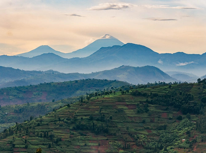 Hilly landscape with terraced fields and distant mountains under a cloudy sky.