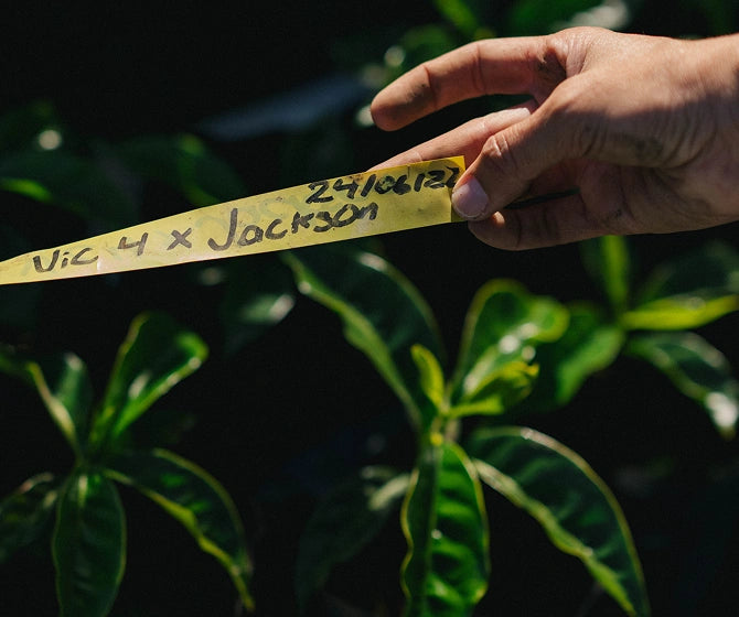 Hand holding a yellow measuring tape with handwritten text against a dark background