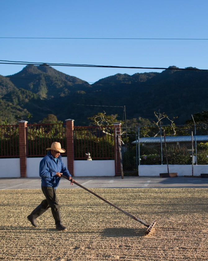 Person using a tool on a field with mountains in the background
