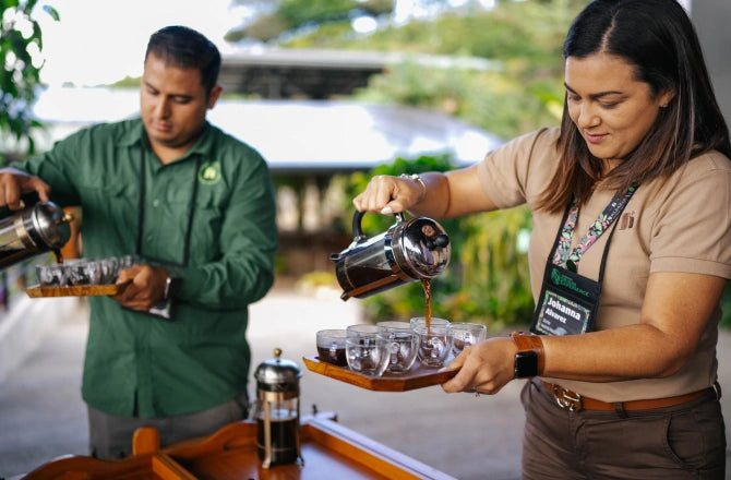 Two people pouring freshly brewed coffee from a French press into glass cups on wooden trays