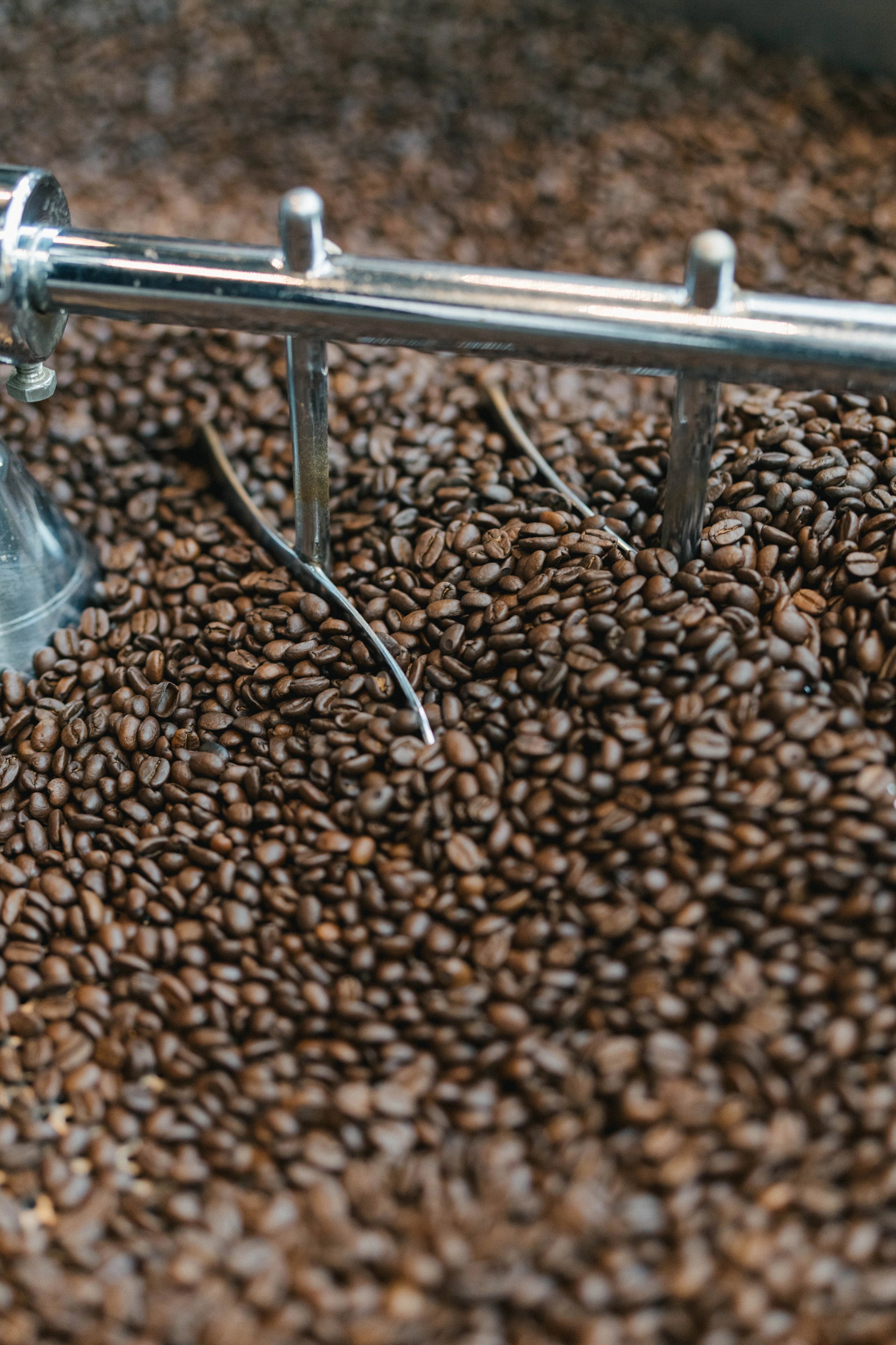 Coffee beans being roasted.