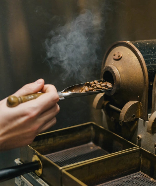 Person loading coffee beans into a coffee roaster.