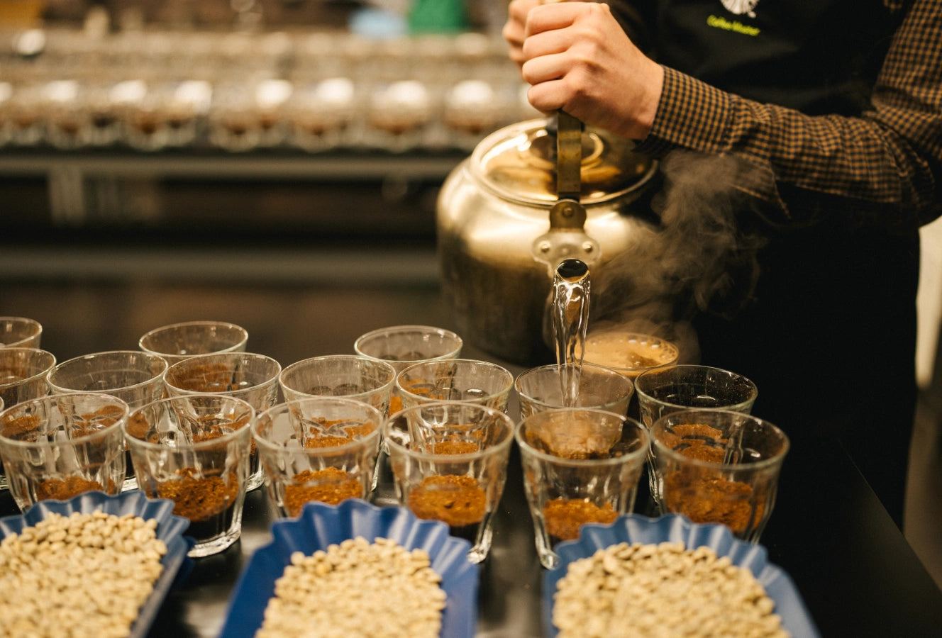 Person pouring hot water into small cups and coffee beans in the front.