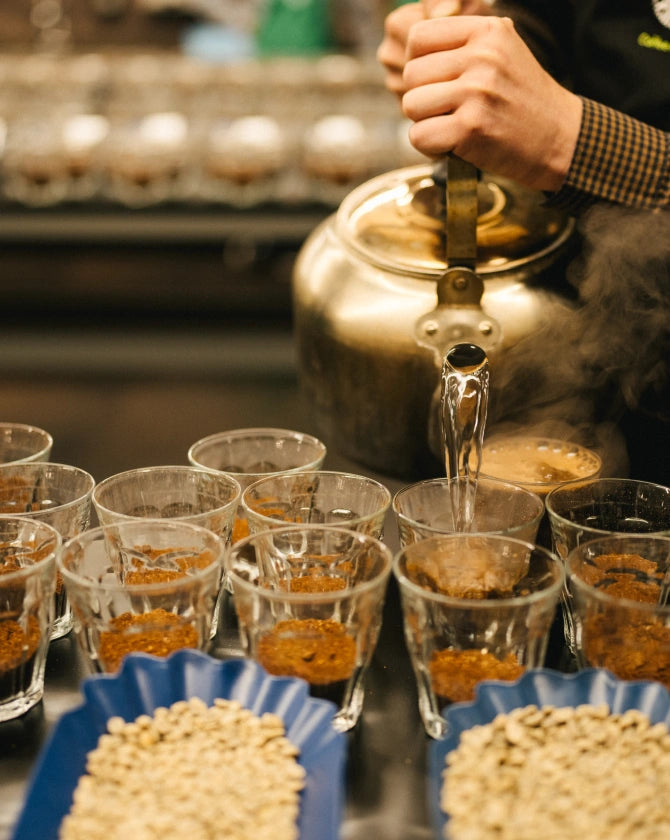 Person pouring hot water into small cups and coffee beans in the front.