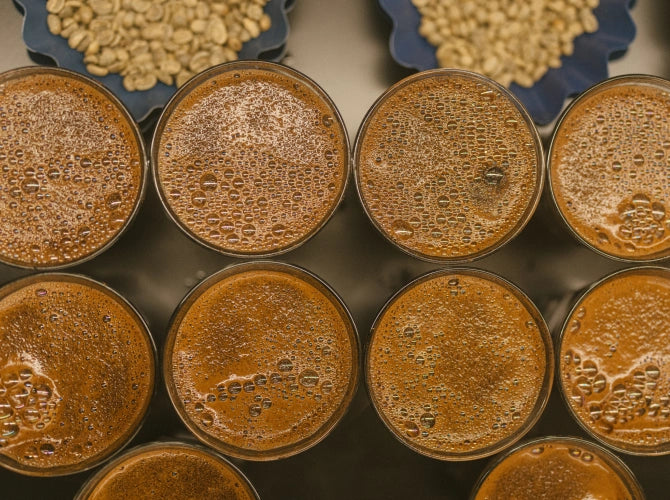 Close-up of coffee poured into glasses.