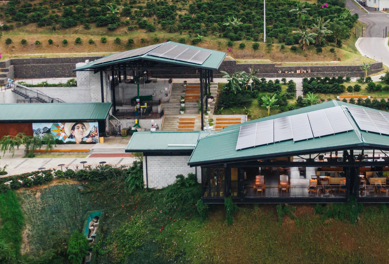 Aerial view of green-roofed buildings with solar panels at Starbucks Hacienda Alsacia coffee farm, surrounded by terraced coffee plants on a hillside in Costa Rica.